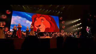 König der Löwen  Disney in Concert 2024  Hannover [upl. by Savart850]