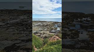 Berwick upon tweed cliff tops [upl. by Ihcehcu]