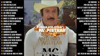 Mix De Puras Viejitas Pa Pistear De Antonio Aguilar  Antonio Aguilar Mix Éxitos con Banda [upl. by Enyal399]