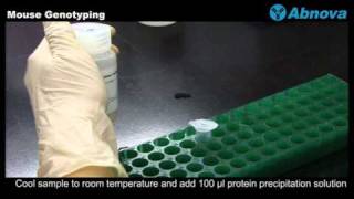 Mouse Genotyping [upl. by Ahlgren169]