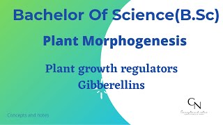 Gibberellins  Plant Hormones  Concepts and Notes [upl. by River119]