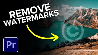 How to Remove Watermark From Video in Premiere Pro [upl. by Epuladaugairam]