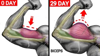 أقوي تمرين البايسبس لتوسيع البايسبس والذراع بسرعة  Wider Biceps Workout [upl. by Darahs]