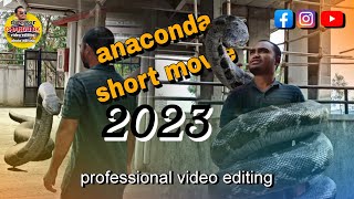 anaconda 1  movie hindi dubbed 2023  chandudk [upl. by Robina665]