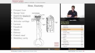 quotSkeletal Systemquot  Anatomy amp Physiology with Educatorcom [upl. by Pardew]