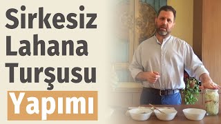 Sirkesiz Lahana Turşusu Yapımı  Dr Burak Alptekin  Prebiyotikler ve Probiyotikler  3 [upl. by Modestine]