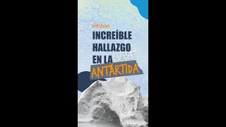 Increíble hallazgo en la Antártida [upl. by Annola]