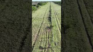 Con un dron encontraron a una niña de 3 años que estuvo 5 horas perdida en La Pampa [upl. by Ykcul]