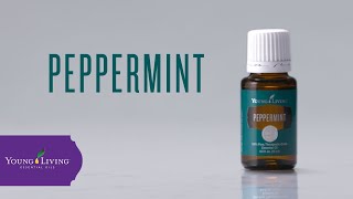 Peppermint Essential Oil Benefits amp Uses  Young Living Essential Oils [upl. by Kind914]