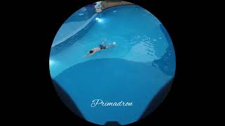 Dio swimming Crystal by Dji Avata Primadron [upl. by Einama]