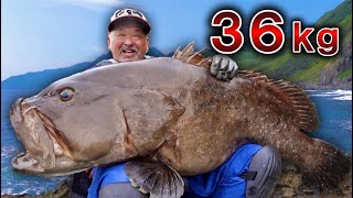 【たった2投で】達人おじぃが人生最大魚を釣り上げる奇跡の映像！！Japanese giant grouper‼︎ [upl. by Atteynad107]