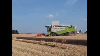 moisson de blé 2013  moissonneuse batteuse claas lexion 540 [upl. by Eliza833]