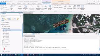 Creating Orthomosaics in ArcGIS Pro with Drone Imagery [upl. by Erlin]