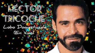 Héctor Tricoche  Lobo Domesticado En Vivo [upl. by Valry]