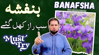 Benefits of Banafsha  Sweet Violet Tea Benefits [upl. by Atiuqihs]