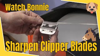 Clipper Blade Sharpening Demonstration  Real Life  Bonika Shears [upl. by Llecrad]