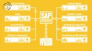 SAP Business ByDesign Cloud based ERP and CRM [upl. by Eceer]