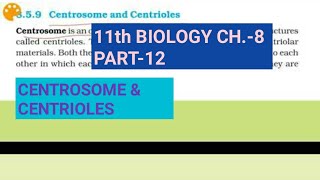 Class 11 biology Ch8Part12Centrosome amp centriolesStudy with Farru [upl. by Neenej]