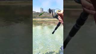 Quand un pêcheur te dit jai eu un gros poisson comme ça fishingvideo fishing drole humour [upl. by Aikemehs]