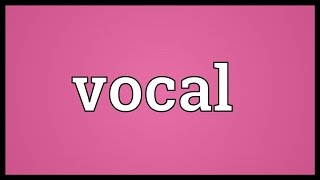 Vocal Meaning [upl. by Airrehs974]