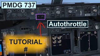 PMDG 737 Autopilot Tutorial Explaining The Basics Of The Autothrottle1080HD [upl. by Nomsed296]