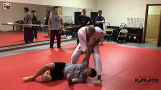 Pinan Shodan Shuto Uke Nukite Takedown Bunkai Drill [upl. by Birchard282]