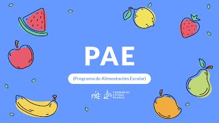 Programa de alimentación escolar PAE [upl. by Anirtep]