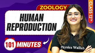 Human Reproduction in 100 Minutes  Class 12th Zoology  Mind Map Series [upl. by Grubman]