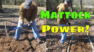 Why I Love Using a Mattock to Dig New Ground for My Garden [upl. by Meara927]