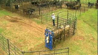 Priefert Small Cattle Working Systems [upl. by Relyuhcs]