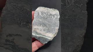 Dendritic amp Lightning Silver in Dolomite Hargrave Mine Coleman Twp silver preciousmetals [upl. by Henri]