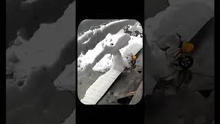 Unexpected Snowfall Hits a Working Woman Her Reaction Will Shock You [upl. by Adnilre751]