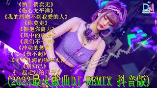 2024年最火爆中文DJ串烧！40首精选歌曲等你来听！ [upl. by Swanhildas]