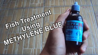 Fish Treatment  Using Methylene Blue [upl. by Cassady]