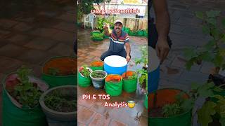 Rain water PH amp TDS analysis 🤔🤔 [upl. by Vivian]