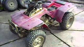 HONDA TRX 250 FOURTRAX [upl. by Hazmah]