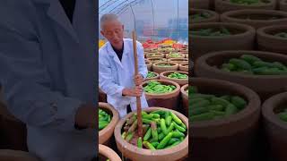 Traditional Vegetable Storage in Clay Pots 🌿🍅 [upl. by Baylor225]