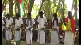 Afar song Gangaytu fiiruk salam aley yakumeni [upl. by Aelc]