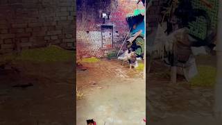 Karvat Badal song funny love comedy dance 🤑🙏👍🥸😎 [upl. by Osithe]