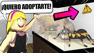 NUNCA ADOPTES UNA ARAÑA EN ROBLOX ¡¡Es venenosa 😰  PetsWorld [upl. by Odeen]