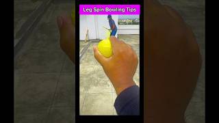 Dangerous Leg Spin Bowling Tips amp Tricks in Stumper ball shorts cricket sports cricketboxtox yt [upl. by Rehpetsirhc]