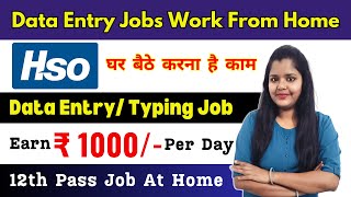 Data Entry Jobs Work from home  HSO Job  12th Pass Job Vacancy 2024  Online Typing Jobs at Home [upl. by Cran]