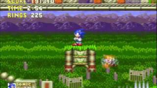 Lets Play Sonic 3 amp Knuckles Marble Garden Zone Part 1 [upl. by Acisey]