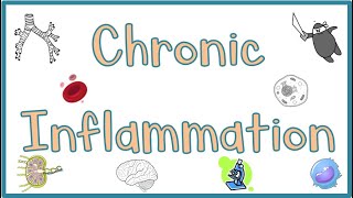 Chronic Inflammation  Causes Morphologic features Mediators Examples amp Clinical manifestations [upl. by Latif462]