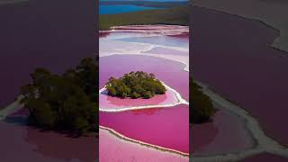 Lake Hillier located on Middle Island in Australia mesmerizes with its vivid bubblegumpink waters [upl. by Gillett]