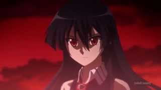 Akame Ga Kill Opening 1  US Toonami Version [upl. by Aremahs]