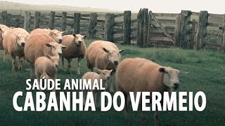 Tilosina e Oxitetraciclina para ovinos Cabanha do Vermeio [upl. by Inahteb]