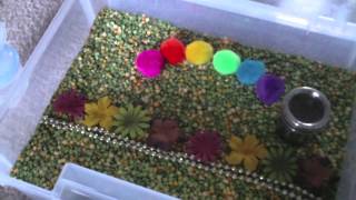 Montessori March Sensory Box [upl. by Ody]