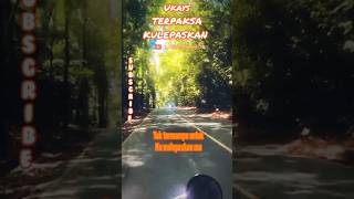 Ukays Terpaksa ku lepaskan music lagu lagumalaysia trending shorts youtubeshorts hits [upl. by Raffo]