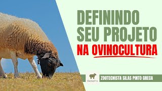 DEFININDO SEU PROJETO NA OVINOCULTURA 🐑 [upl. by Armond]